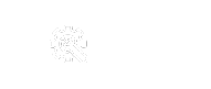 ic_head_suporte_nectech_